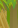 Image:66155723.png