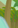 Image:appel10.png