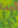 Image:Maitrise_de_la_nature_22.png