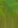 Image:Construction_9.png