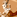 Image:besace_cabane.png