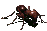 G ant.gif (6 KB) G ant