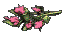 Broom flower.png