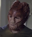 Hirogen fighter