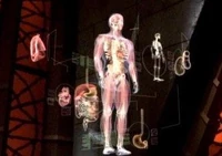 Human anatomy.JPG
