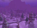 Winterspring