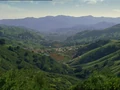 Gaia surface.jpg