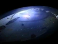 Voyager shields.jpg