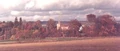 Autumntrees2.jpg
