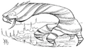 Barri.jpg