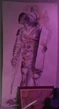 Flavius