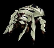SilithidScarab