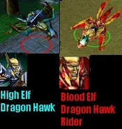 BloodHighElfDragonHawk