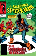 Amazing Spider-Man Vol 1 289