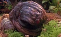 Thumbnail for version as of 22:31, January 19, 2006