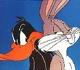 Daffy and Bugs have become fierce rivals over the years