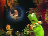 Ukulelelady.jpg