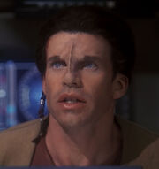 Jareb