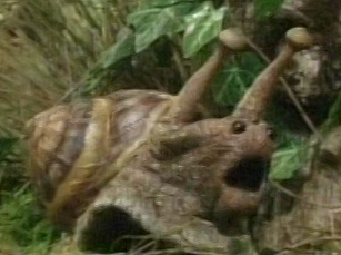 Character.snail
