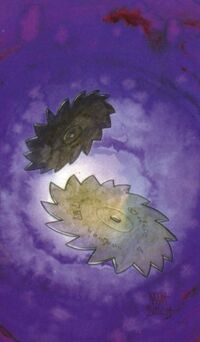 Spin-blade
