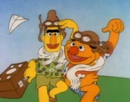 Bertandernieanimated