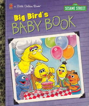 Bigbirdsbabybook