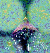 WMAPfractaluniverse