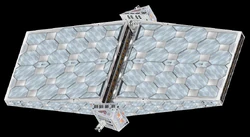 Ion Battery