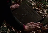 Chakotays grave.jpg