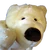 Polarbearicon