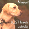 Vincenticon3.gif
