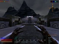DD-shot3.jpg