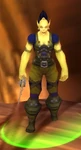 Shankys