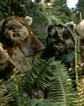 Ewoks.jpg
