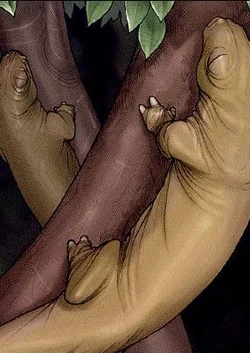 Ysalamiri.JPG