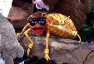 Character.termite