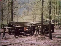 Logcabinfilm.jpg