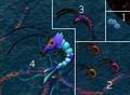 Shrimp and eggs.PNG