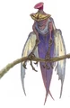 Jubba Bird.jpg