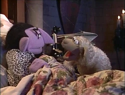 Countsheep