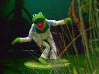 Discofrog-muppetshow.jpg