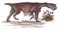 Saw-toothed grank.jpg