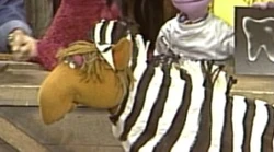 Busterzebra