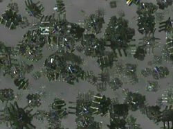 NanoSondes