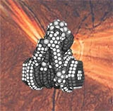 Nanoassembler.jpg
