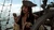 Jack compass