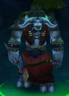 Seer Wiserunner