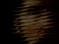 Gmiwrlhhnhm segment 320x240.jpg