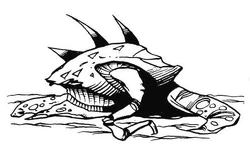 Hitcher crab.jpg