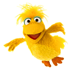 Arthur the bird